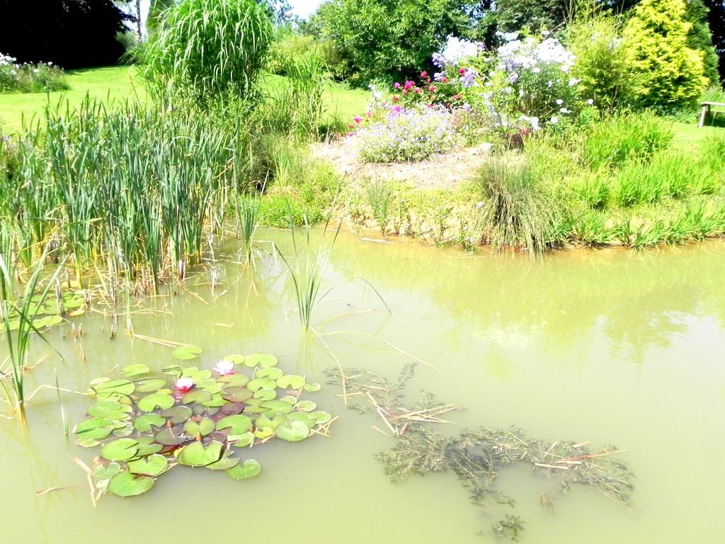 Les Charmilles Bed and Breakfast Hazebroek Buitenkant foto
